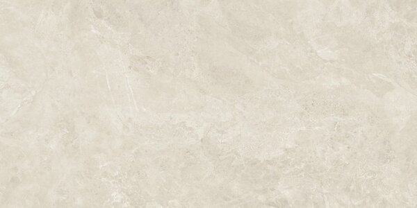 Canyon Bone 60x120 R