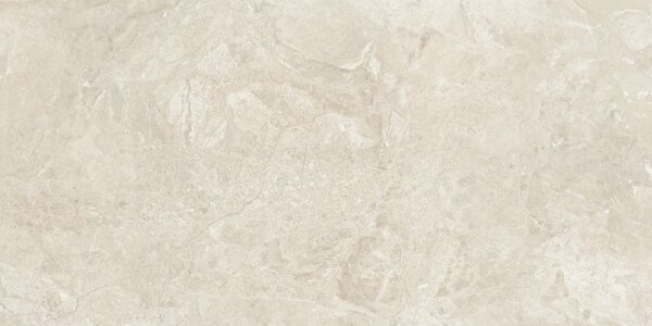 Canyon Bone 60x120 R
