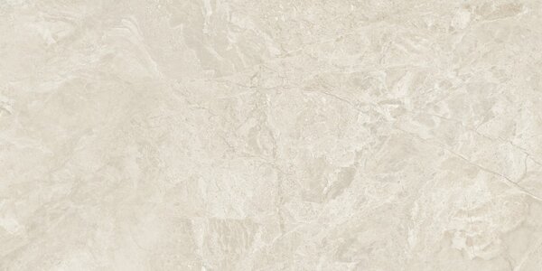Canyon Bone 60x120 R