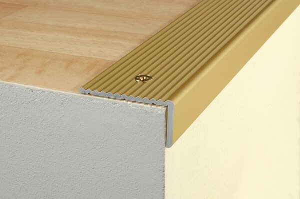 Schodový profil 40 x 20 mm (skrutkovací) Zlato E00