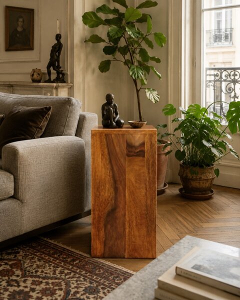 Odkladací stolík Gani 25x50x25 z indického masívu palisander