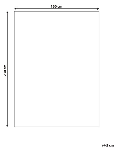 Detský koberec svetlobéžový bavlnený 160 x 230 cm obdĺžnikový tvar geometrický vzor so strapcami moderný štýl detská izba