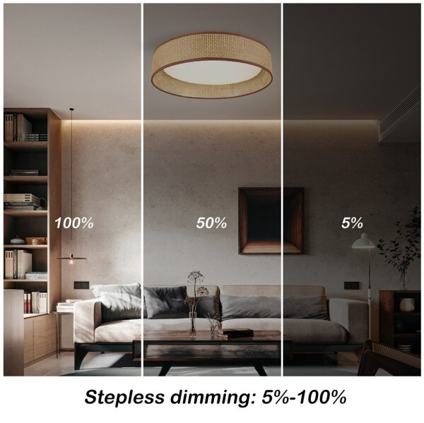 Immax NEO 07288L - LED+CCT stmievateľné stropné svietidlo LONA 36W/230V pr. 45,5 cm+ DO