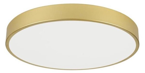 Immax NEO 07293L - LED+CCT stmievateľné stropné svietidlo SEMPLICI 60W/230V, priemer 60 cm + diaľkový ovládač