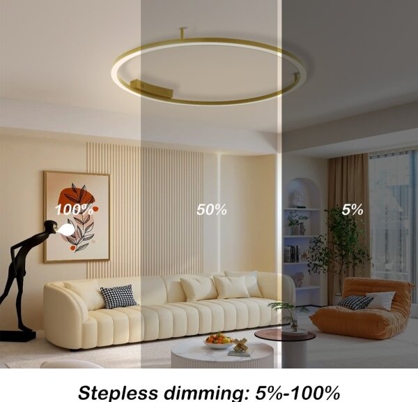Immax NEO 07291-80G - LED+CCT stmievateľné stropné svietidlo FINO 55W/230V Tuya priemer 80 cm s diaľkovým ovládaním