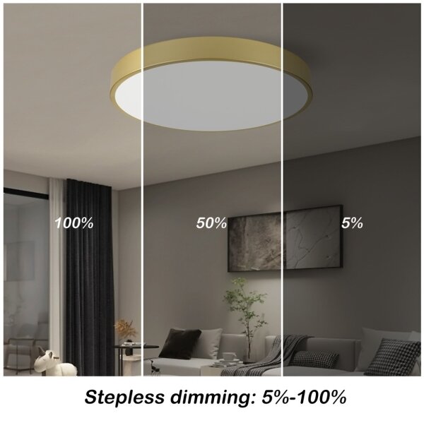 Immax NEO 07293L - LED+CCT stmievateľné stropné svietidlo SEMPLICI 60W/230V, priemer 60 cm + diaľkový ovládač