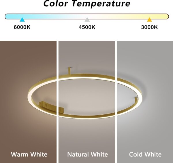 Immax NEO 07291-80G - LED+CCT stmievateľné stropné svietidlo FINO 55W/230V Tuya priemer 80 cm s diaľkovým ovládaním
