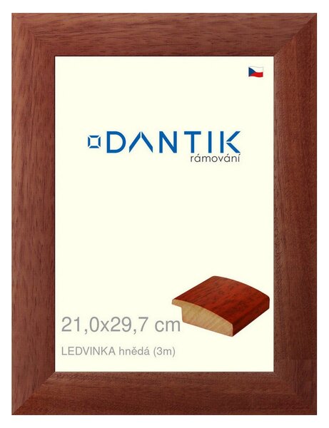 DANTIK rám na obraz 21x29,7 | LEDVINKA hnědá (Sklo Čiré)