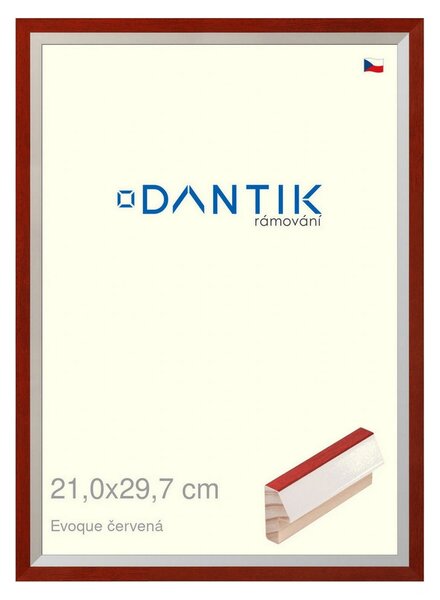DANTIK rám na obraz 21x29,7 | EVOQUE červená (Sklo Čiré)