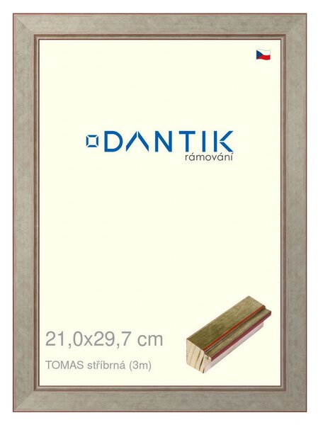 DANTIK rám na obraz 21x29,7 | TOMAS stříbrná (Sklo Čiré)