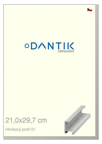 DANTIK rám na obraz 21x29,7 | ALU Stříbrná matná (Sklo Čiré)