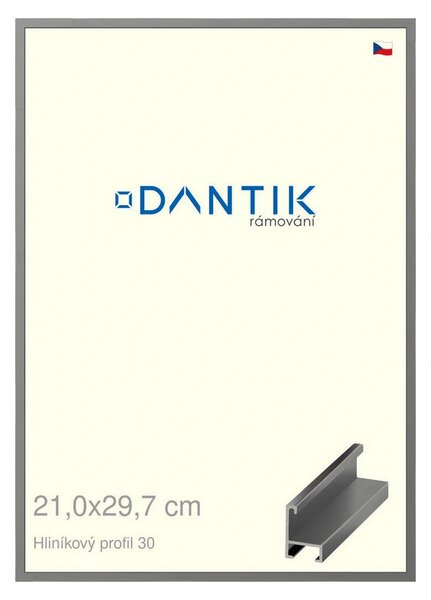 DANTIK rám na obraz 21x29,7 | ALU Ocelová (Sklo Čiré)