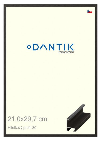 DANTIK rám na obraz 21x29,7 | ALU Dýha černá (Sklo Čiré)