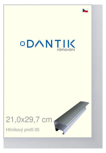 DANTIK rám na obraz 21x29,7 | ALU Stříbrná matná (Sklo Čiré)