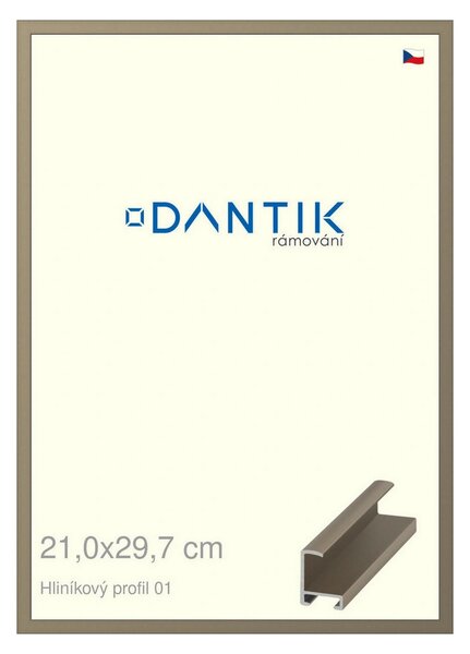DANTIK rám na obraz 21x29,7 | ALU champagne (Sklo Čiré)
