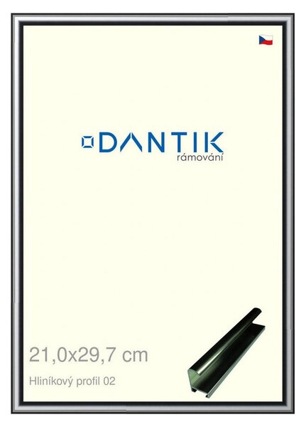 DANTIK rám na obraz 21x29,7 | ALU Šedá leská (Sklo Čiré)