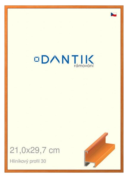 DANTIK rám na obraz 21x29,7 | ALU Dýha barevná oranžová (Sklo Čiré)