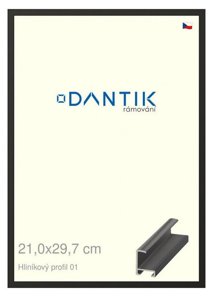 DANTIK rám na obraz 21x29,7 | ALU Černá matná (Sklo Čiré)