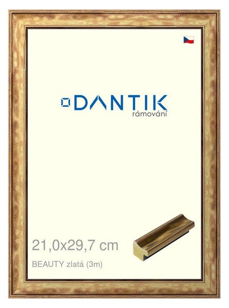 DANTIK rám na obraz 21x29,7 | BEAUTY zlatá (Sklo Čiré)
