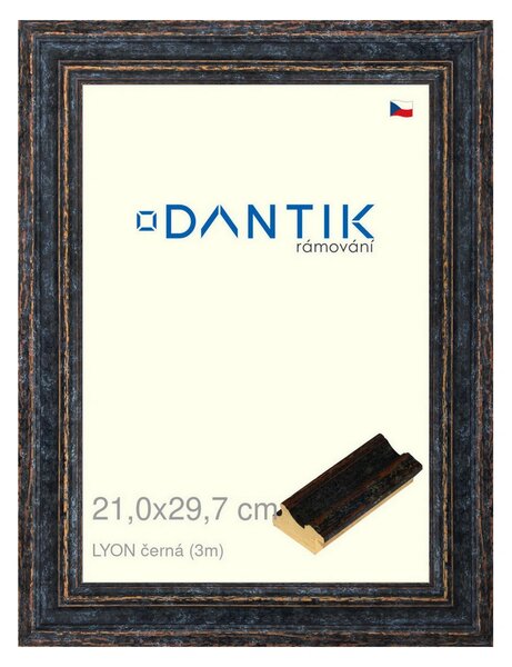 DANTIK rám na obraz 21x29,7 | LYON černá (Sklo Čiré)