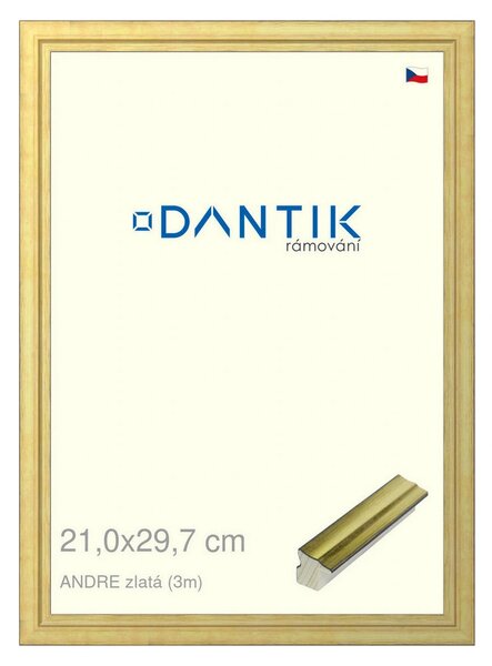 DANTIK rám na obraz 21x29,7 | ANDRE zlatá (Sklo Čiré)