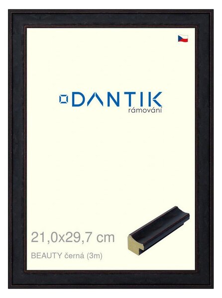 DANTIK rám na obraz 21x29,7 | BEAUTY černá (Sklo Čiré)