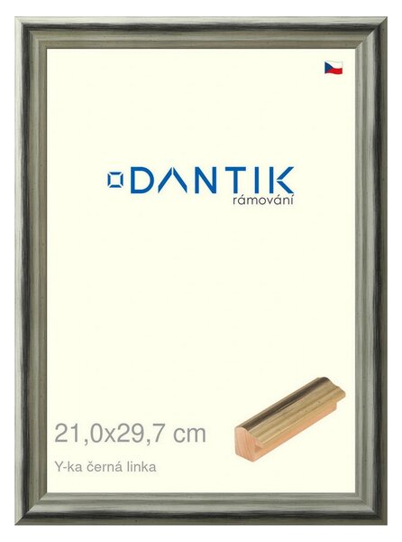 DANTIK rám na obraz 21x29,7 | Y-ka černá linka (Sklo Čiré)