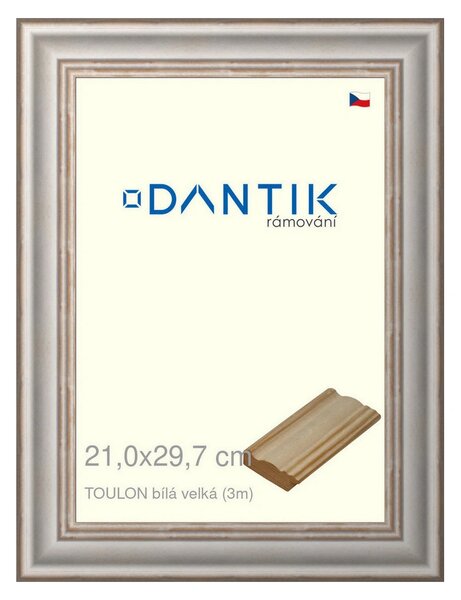 DANTIK rám na obraz 21x29,7 | TOULON bílá velká (Sklo Čiré)