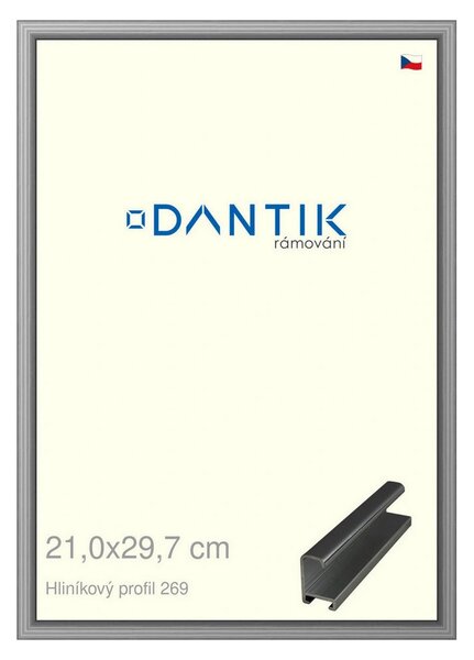 DANTIK rám na obraz 21x29,7 | ALU Šedá leská (Sklo Čiré)