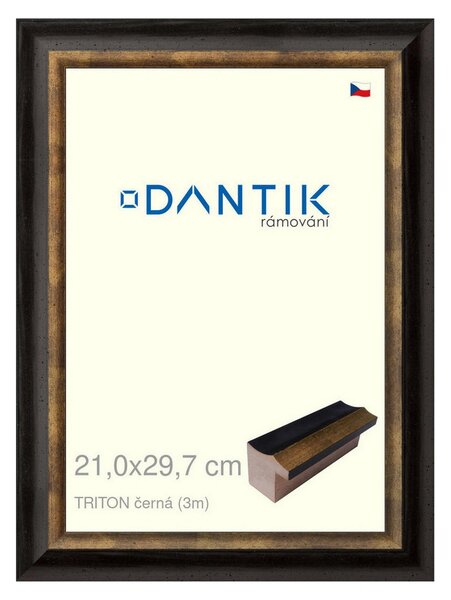 DANTIK rám na obraz 21x29,7 | TRITON černá (Sklo Čiré)
