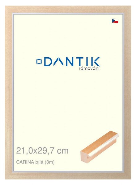 DANTIK rám na obraz 21x29,7 | CARINA Bílá (Sklo Čiré)