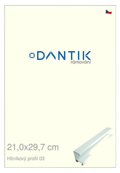 DANTIK rám na obraz 21x29,7 | ALU Bílá matná (Sklo Čiré)