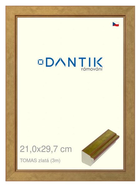 DANTIK rám na obraz 21x29,7 | TOMAS zlatá (Sklo Čiré)