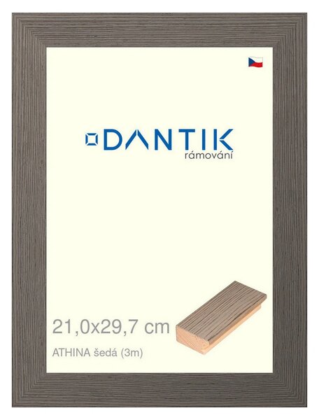 DANTIK rám na obraz 21x29,7 | ATHINA šedá (Sklo Čiré)