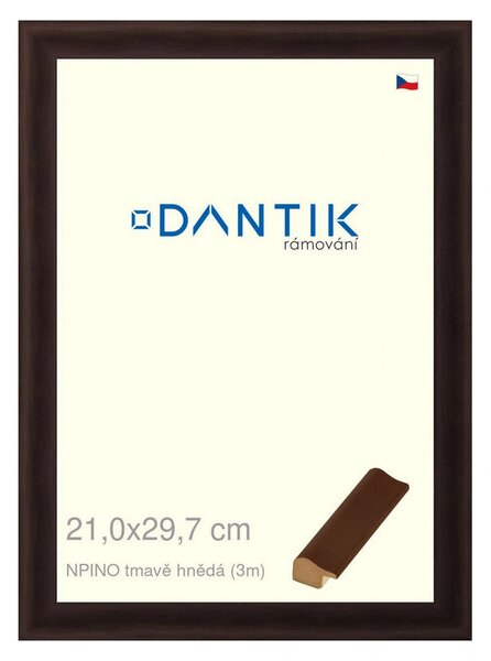 DANTIK rám na obraz 21x29,7 | NPINO tmavě hnědá (Sklo Čiré)