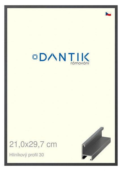 DANTIK rám na obraz 21x29,7 | ALU Dýha barevná šedá tmavá (Sklo Čiré)