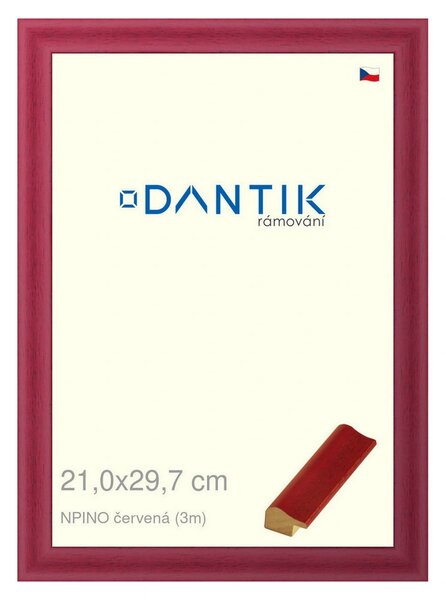 DANTIK rám na obraz 21x29,7 | NPINO červená (Sklo Čiré)