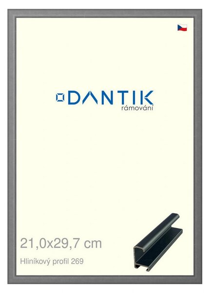 DANTIK rám na obraz 21x29,7 | ALU Platina matná (Sklo Čiré)