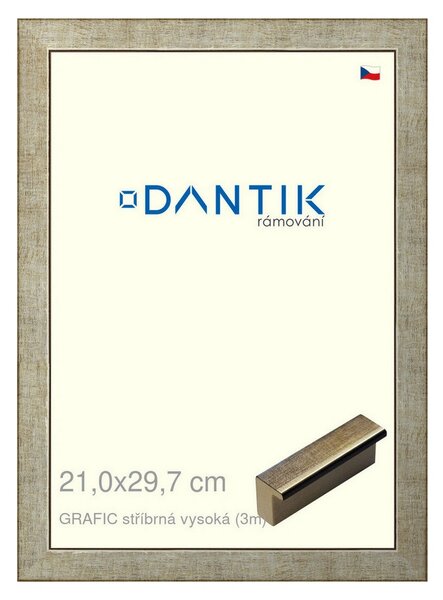 DANTIK rám na obraz 21x29,7 | GRAFIC stříbrná vysoká (Sklo Čiré)