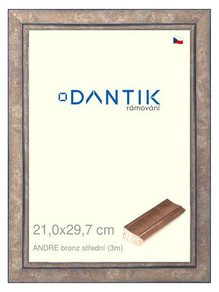 DANTIK rám na obraz 21x29,7 | ANDRE bronz střední (Sklo Čiré)