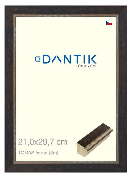 DANTIK rám na obraz 21x29,7 | TOMAS černá (Sklo Čiré)