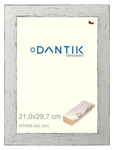 DANTIK rám na obraz 21x29,7 | ATHINA Bílá (Sklo Čiré)