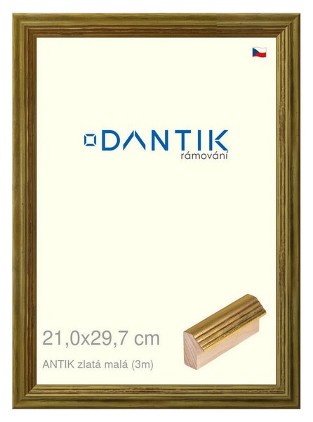 DANTIK rám na obraz 21x29,7 | ANTIK zlatá malá (Sklo Čiré)
