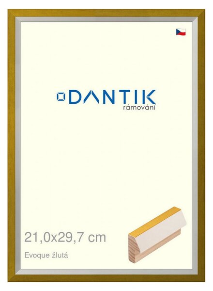 DANTIK rám na obraz 21x29,7 | EVOQUE žlutá (Sklo Čiré)