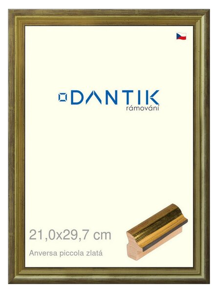 DANTIK rám na obraz 21x29,7 | ANIVERSA piccola zlatá (Sklo Čiré)