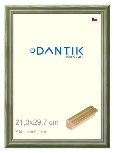 DANTIK rám na obraz 21x29,7 | Y-ka zelená linka (Sklo Čiré)