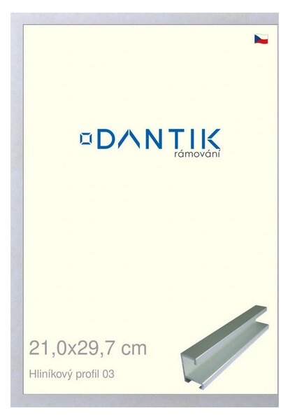 DANTIK rám na obraz 21x29,7 | ALU Stříbrná matná (Sklo Čiré)