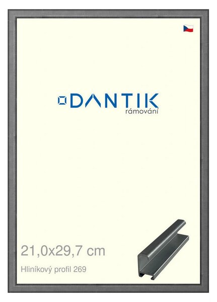 DANTIK rám na obraz 21x29,7 | ALU Ššedá broušená (Sklo Čiré)