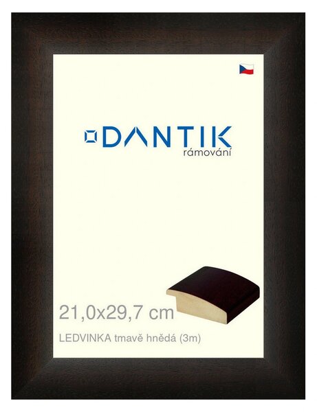 DANTIK rám na obraz 21x29,7 | LEDVINKA tmavě hnědá (Sklo Čiré)