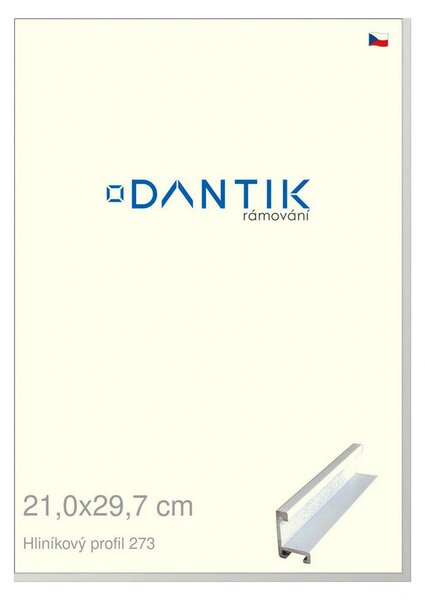DANTIK rám na obraz 21x29,7 | ALU Bílá matná (Sklo Čiré)